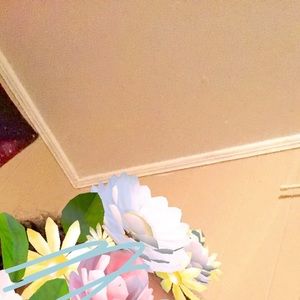 Meet your Posher, Mya